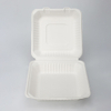 Biodegradable Sugarcane Bagasse Custom Lunch Takeaway Food Packaging Pulp Disposable Box