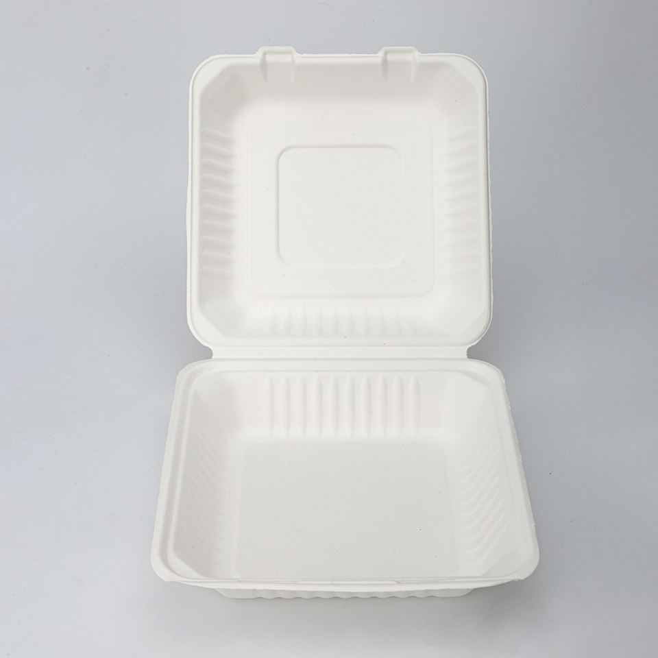 Biodegradable Sugarcane Bagasse Custom Lunch Takeaway Food Packaging Pulp Disposable Box