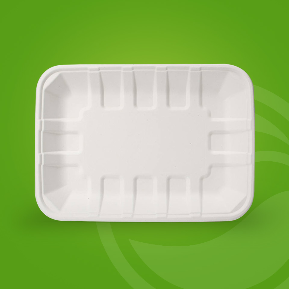 PFAS Free Disposable Biodegradable Rectangular Food Meat Sugarcane Bagasse Pulp Mould Tray