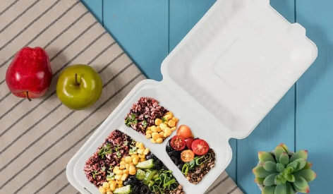 The Eco-Evolution: Why Sugarcane Clamshells Are Replacing Styrofoam