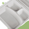 Disposable Clamshell Biodegradable Bagasse Food 9" x 9" 3-C Hinged Container