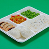 Biodegradable Restaurant Compostable Meat Bagasse Frozen Food 5-Compartment Tray