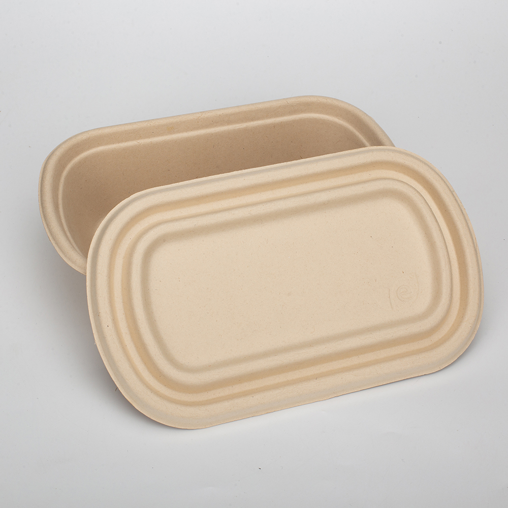 Eco-friendly Compostable 800ml Food Takeaway Box