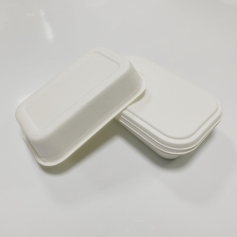 Biodegradable Disposable Takeaway Bagasse Lunch 7