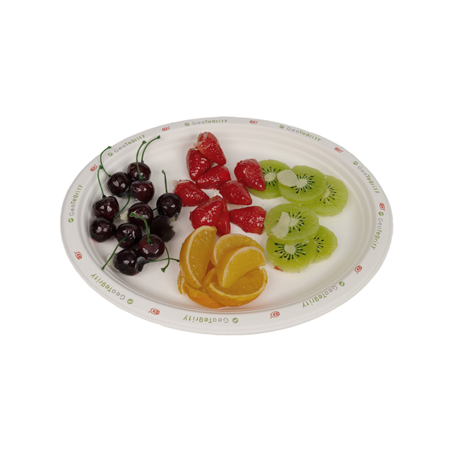 EcoParty 6" Printed Sugarcane Bagasse Plates, Round & Disposable for Parties