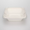 Biodegradable Square Sugarcane Bagasse Food Container with Din Certco And OK Compost Home Bowls Customized Packing Bagasse Pulp