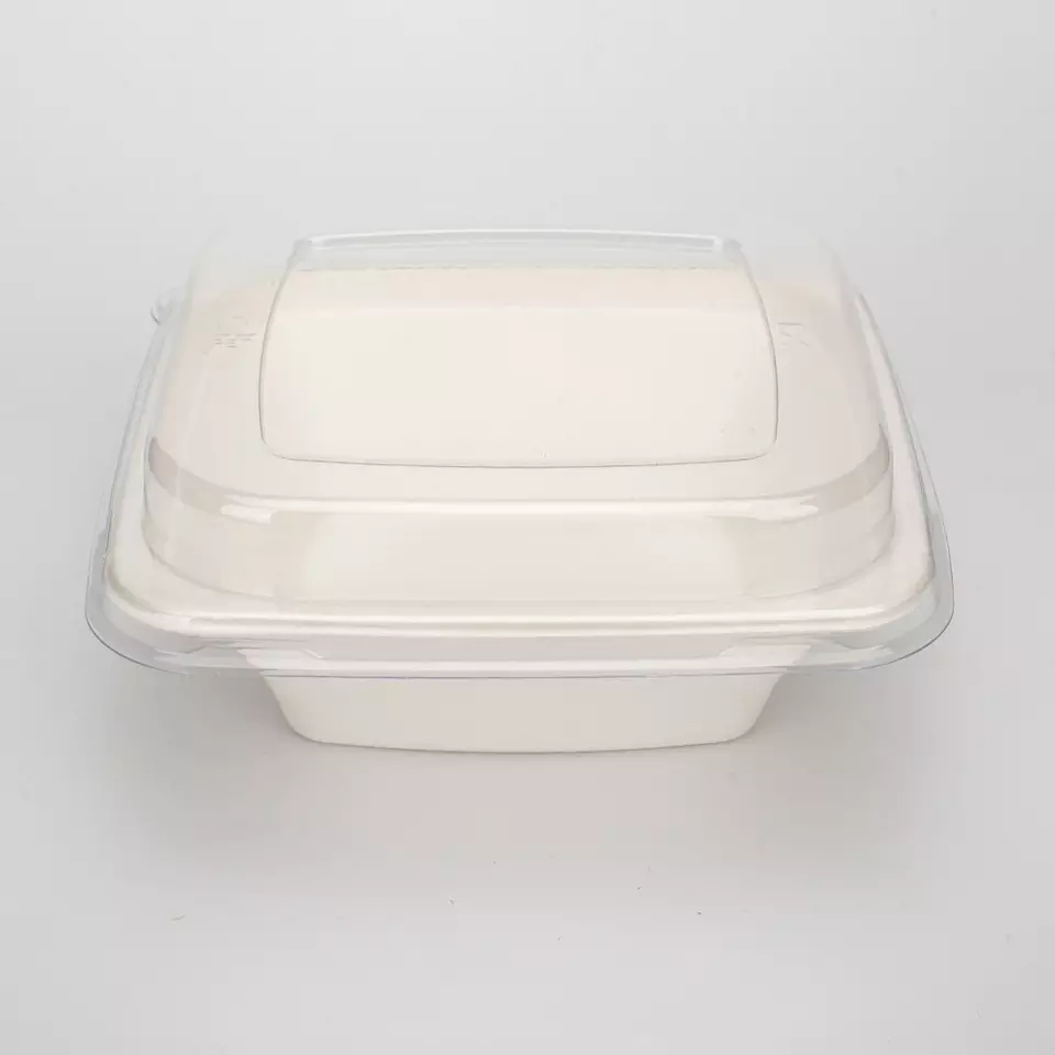 Biodegradable Square Sugarcane Bagasse Food Container with Din Certco And OK Compost Home Bowls Customized Packing Bagasse Pulp