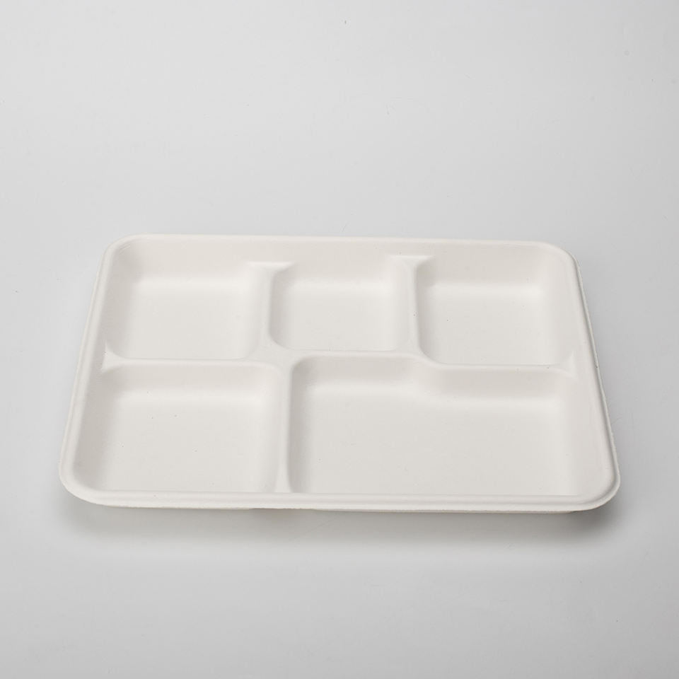 PFAS Free 5 Compartment Disposable Biodegradable Sugarcane Bagasse Paper Pulp Mould School Food Tray