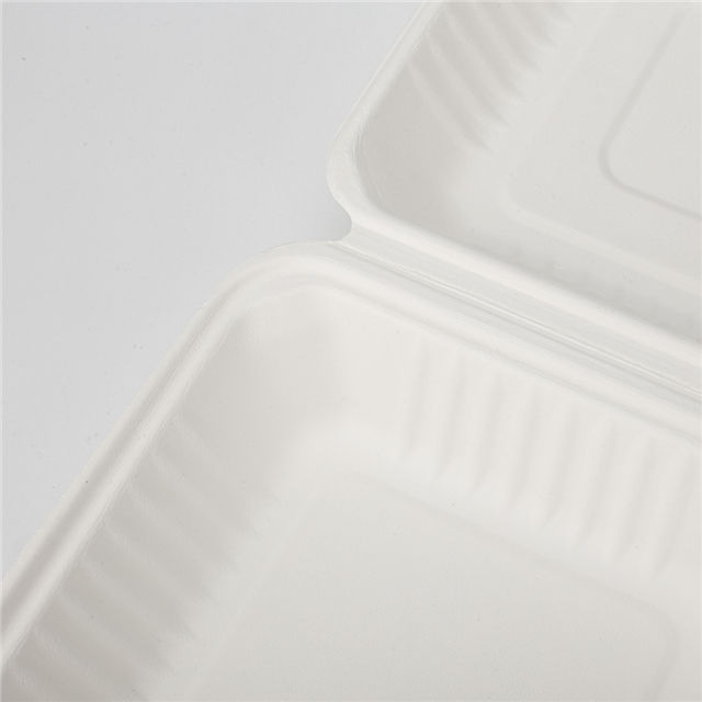 Biodegradable Sugarcane Bagasse Custom Lunch Takeaway Food Packaging Pulp Disposable Box