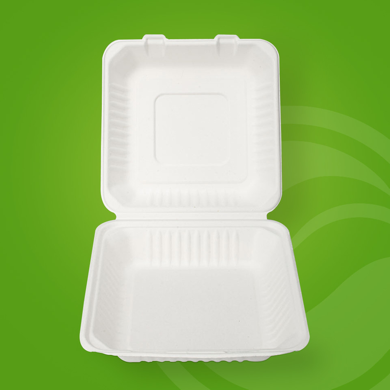 Biodegradable Sugarcane Bagasse Custom Lunch Takeaway Food Packaging Pulp Disposable Box