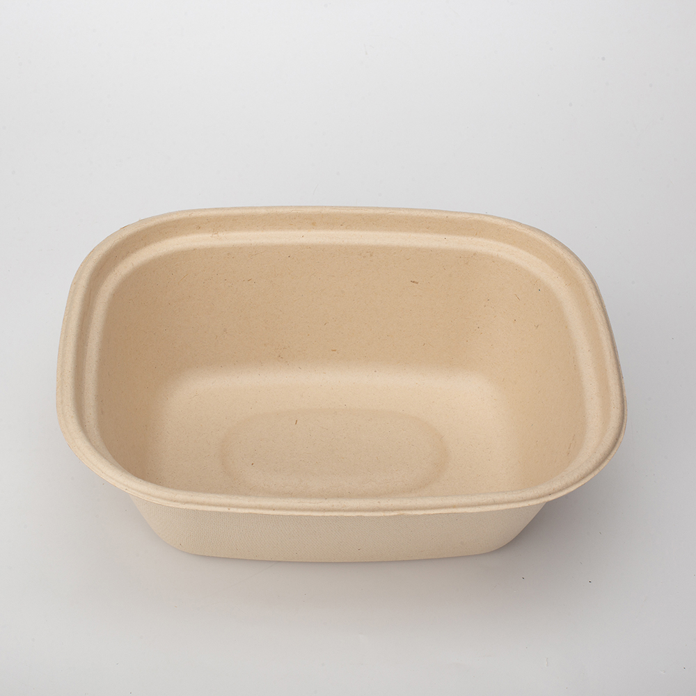 Disposable Sugarcane Bagasse Fiber Biodegradable Bowl Take Away Pulp Food Container Space Party Travel Kitchen Camping