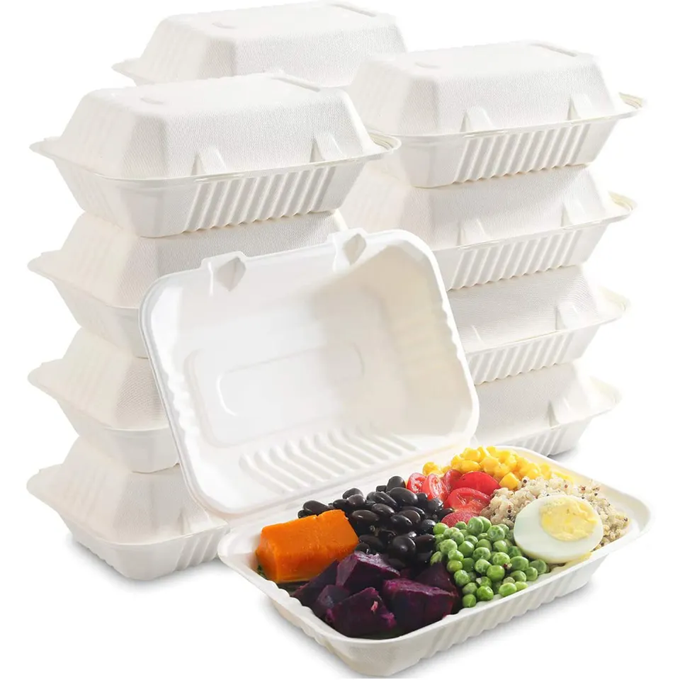 Biodegradable Bagasse To Go Food Packaging 9" x 6" Hinged Container