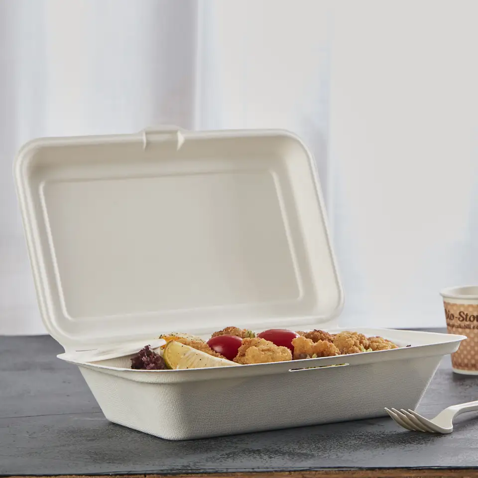 Biodegradable Bagasse Pulp Disposable takeaway 9