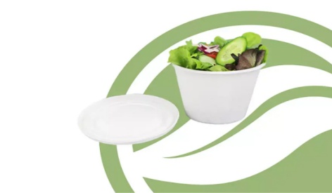 Are Sugarcane Bowls Safe?