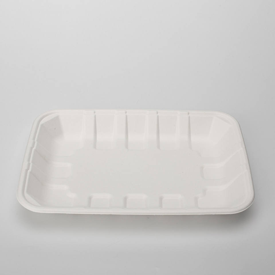 Disposable Composable Biodegradable Pulp Molding Food Sugarcane Bagasse Tray