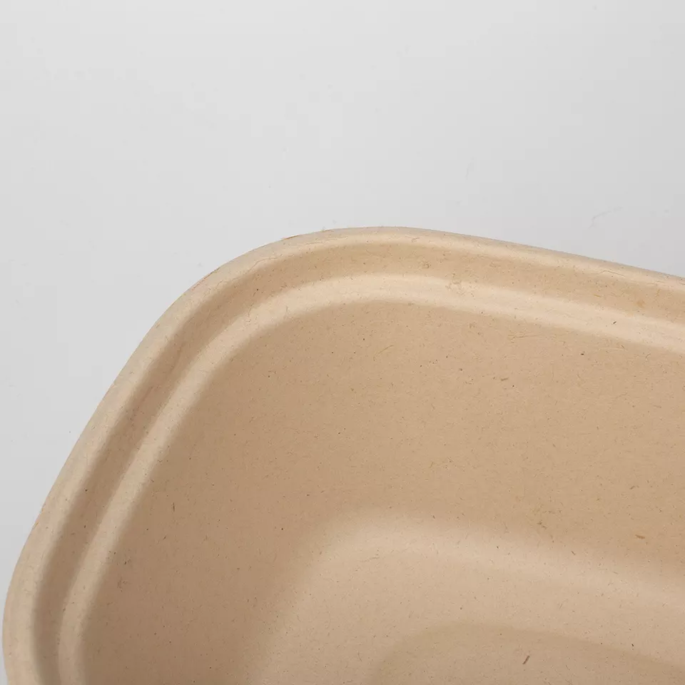 Biodegradable Sugarcane Bagasse Pulp Rectangular Salad Bowl Disposable Paper Tableware