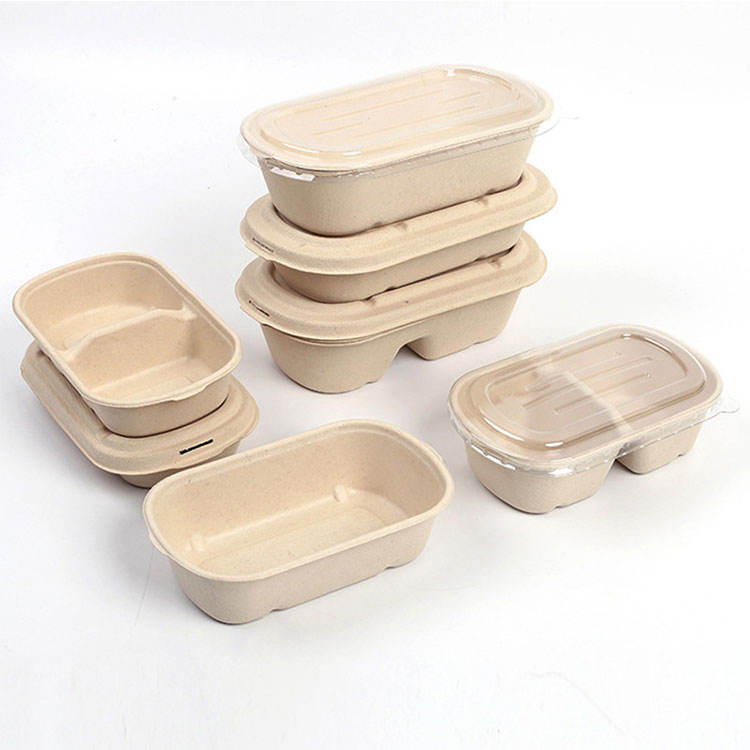 PFAS Free Disposable Biodegradable Containers Sugarcane Bagasse Pulp Molding Tray For Restaurant And Party