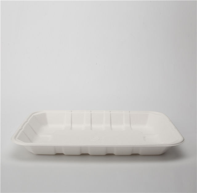 Disposable Sugarcane Pulp Biodegradable Bagasse Tray Food Container Bagasse Rectangular Tray