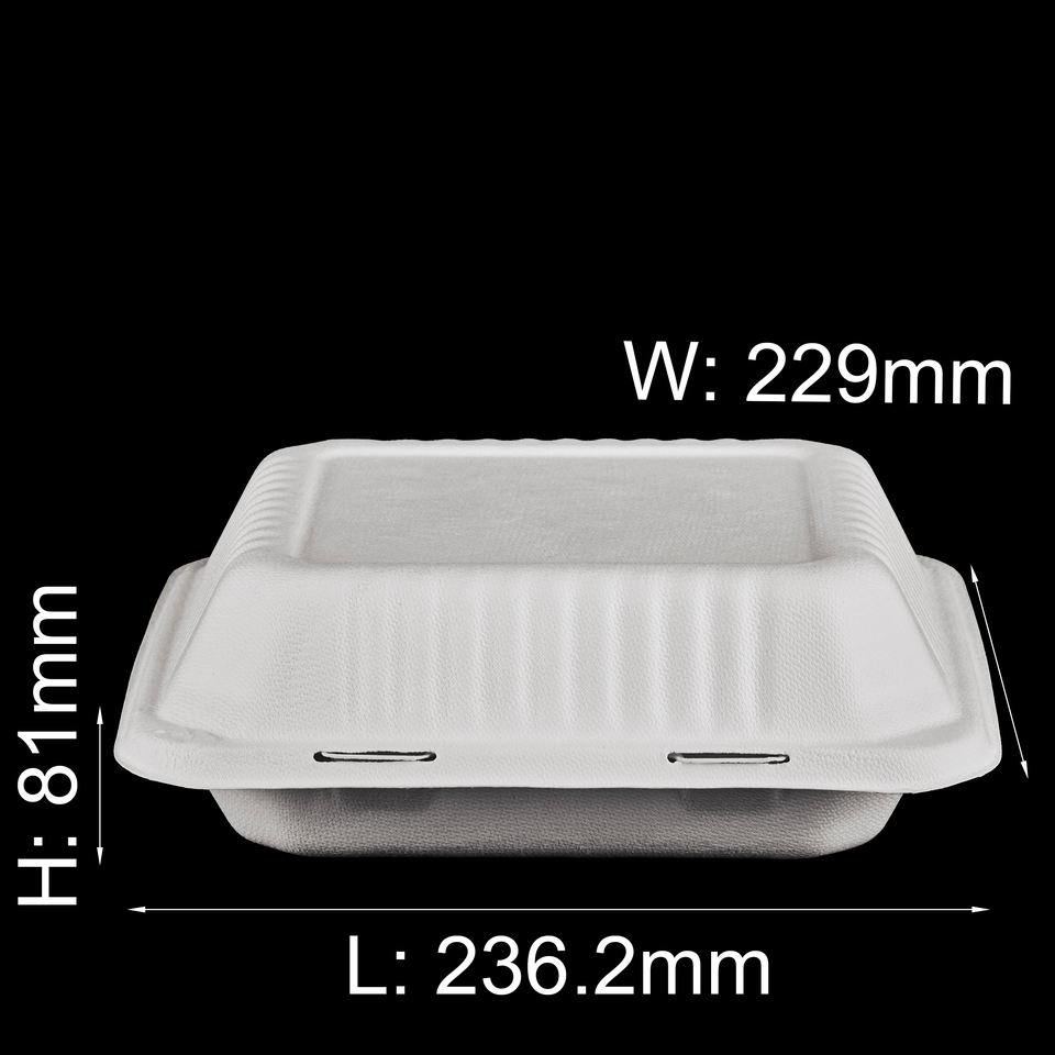 Biodegradable Sugarcane Bagasse Custom Lunch Takeaway Food Packaging Pulp Disposable Box