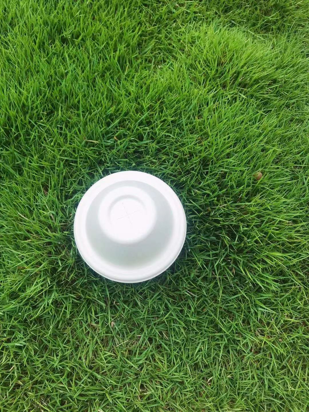 100% Biodegradable Plant Fiber Lids for Coffee Cup Compostable Molded Bagasse Pulp Coffee 90mm Pulp Dome Lid 