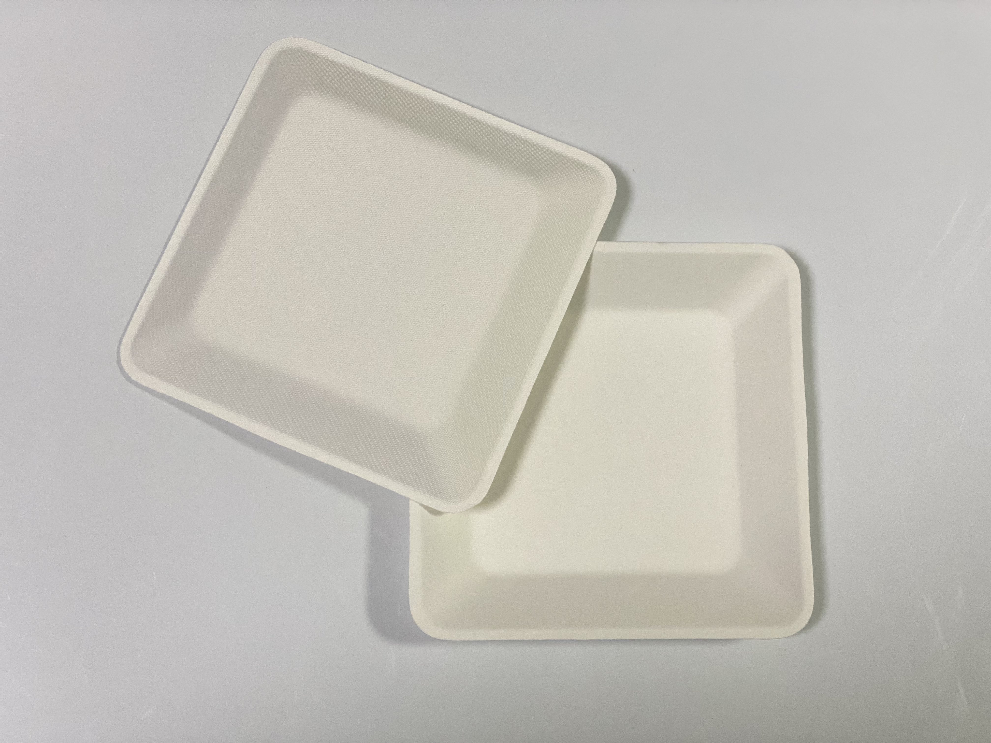 100% Composable Biodegradable Bagasse Pulp Round 6" Square Plate