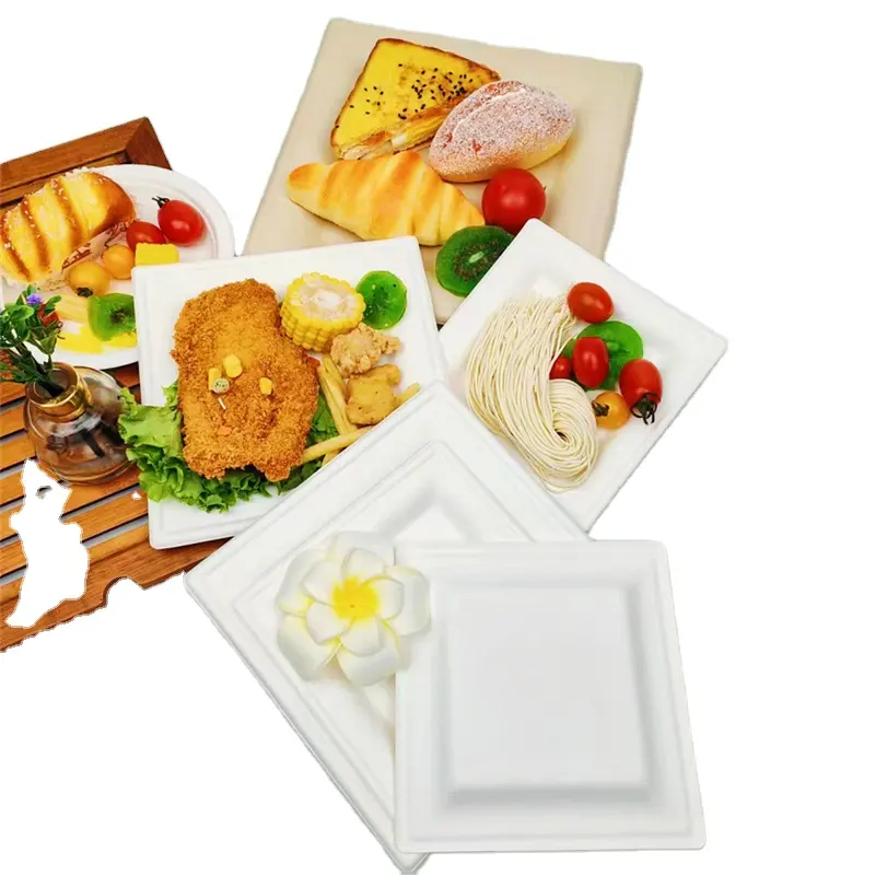 Party Eco-friendly Disposable Biodegradable Bagasse 6" Square Plate