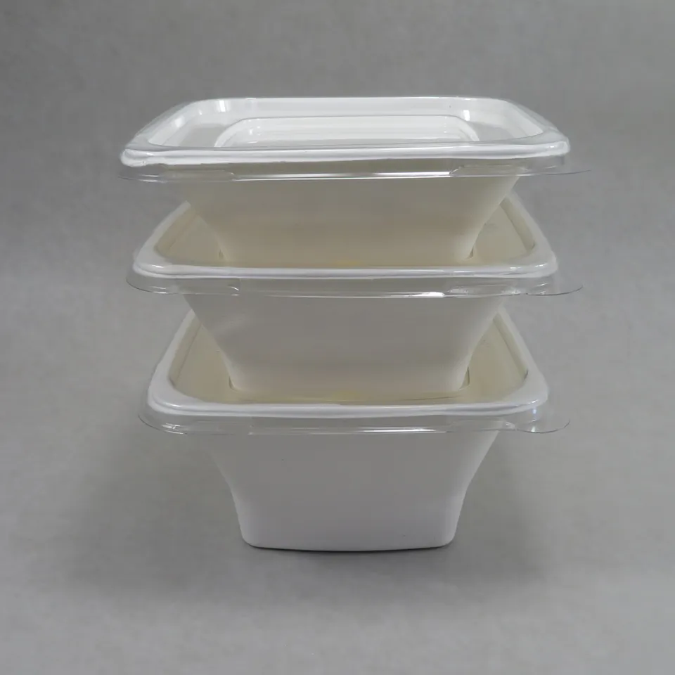 Compostable SugarCane Bagasse Biodegradable Eco-Friendly Food Container 24 Oz (680ml) Square Bowl