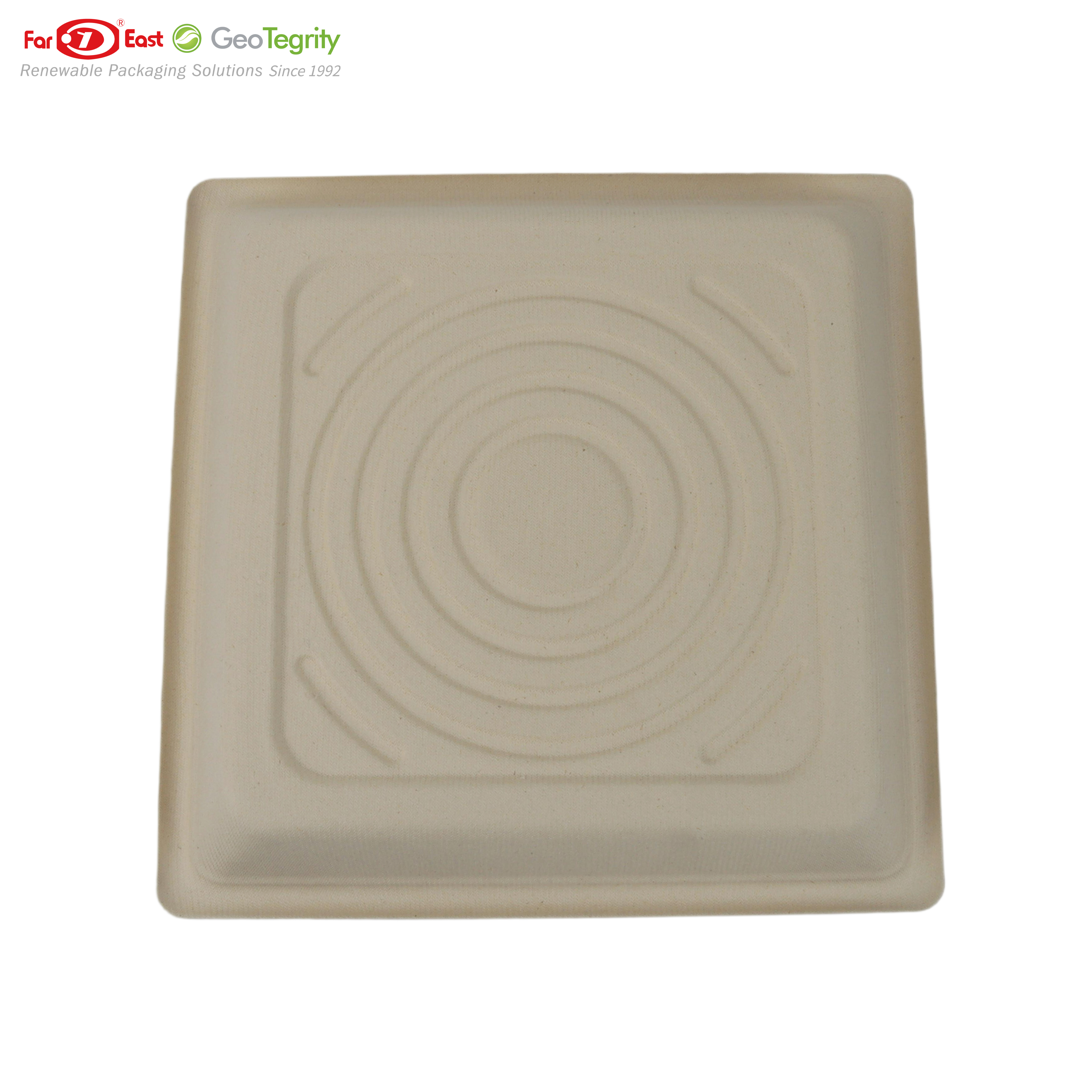 10.25"Square tray Bagasse Rectangular Plate, 50 Ct. PFAS-Free, Heavy Duty, Sugarcane Fiber, Eco Friendly Disposable, 100% Biodegradable, Microwave and Freezer Safe, Ideal for Lunch, Buffet