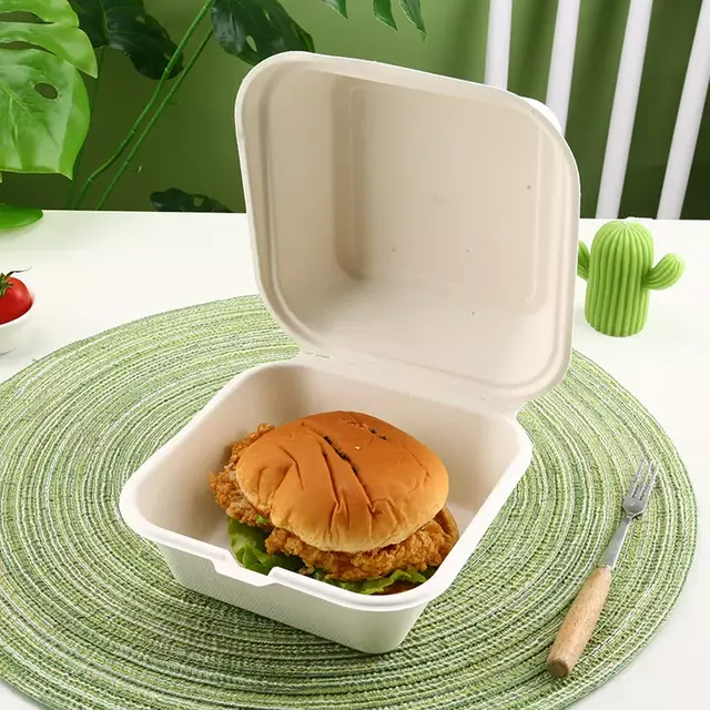 Bagasse Clamshell (5)