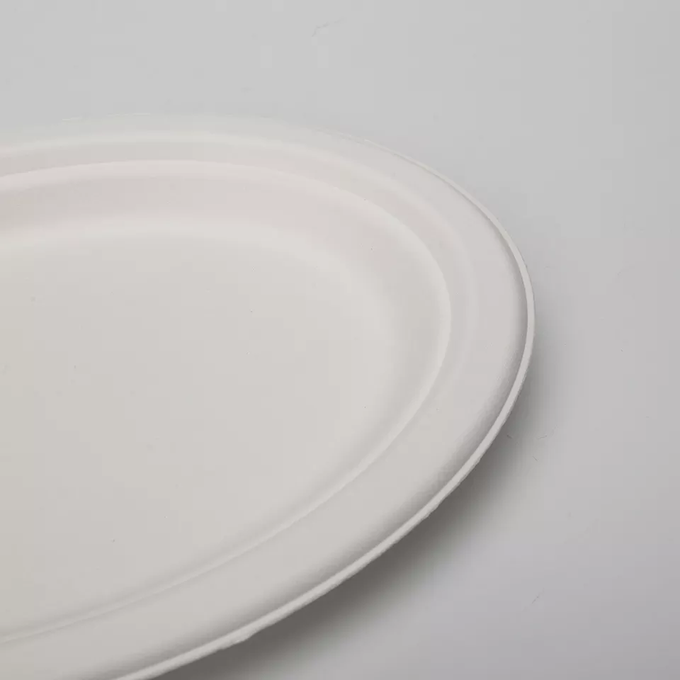 Wholesale Biodegradable Sugarcane Plate Bagasse Tableware Degradable Sugarcane Tableware Bagasse Pulp White Disposable Plate