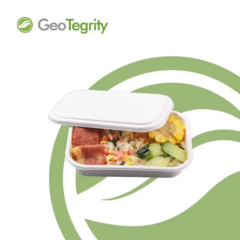 The Ultimate Guide To Choosing Eco-Friendly Disposable Tableware for Your Restaurant