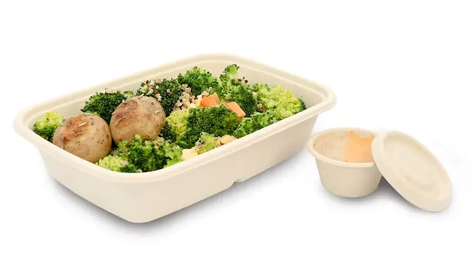 biodegradable meat trays biodegradable meat trays