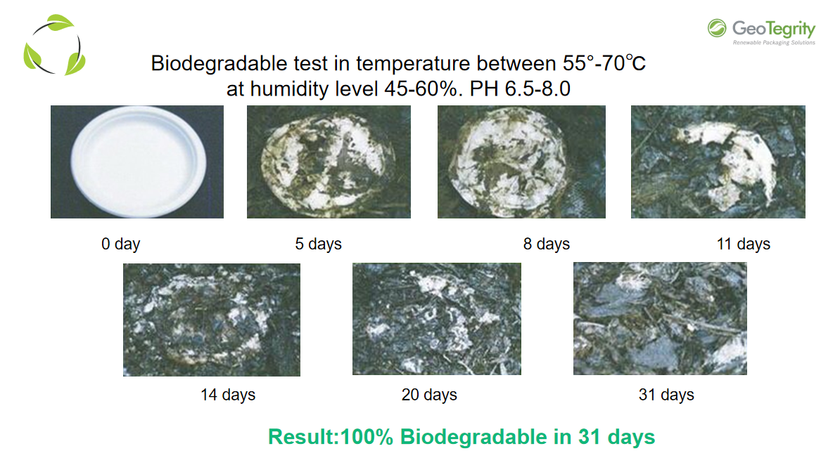 Advantages of bagasse material