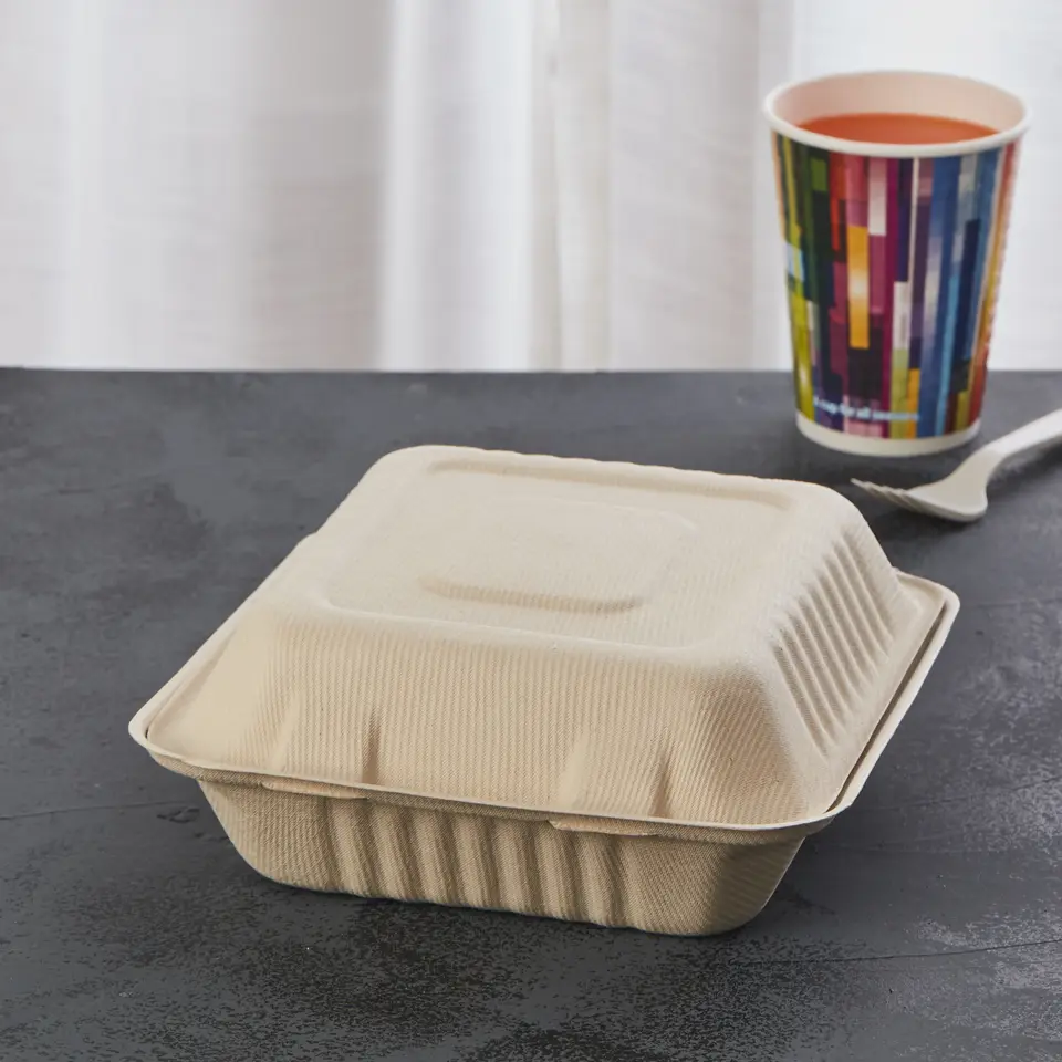 Disposable Clamshell Biodegradable Bagasse Food 8