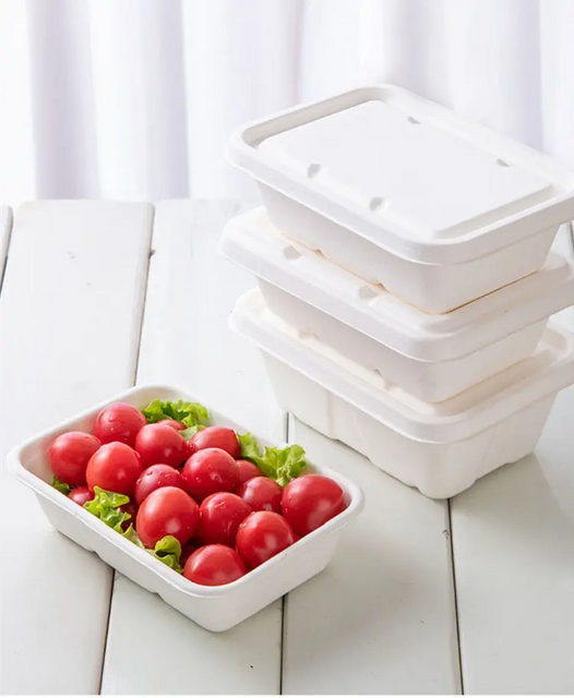 Biodegradable Restaurant Compostable Meat Bagasse Frozen Food 8
