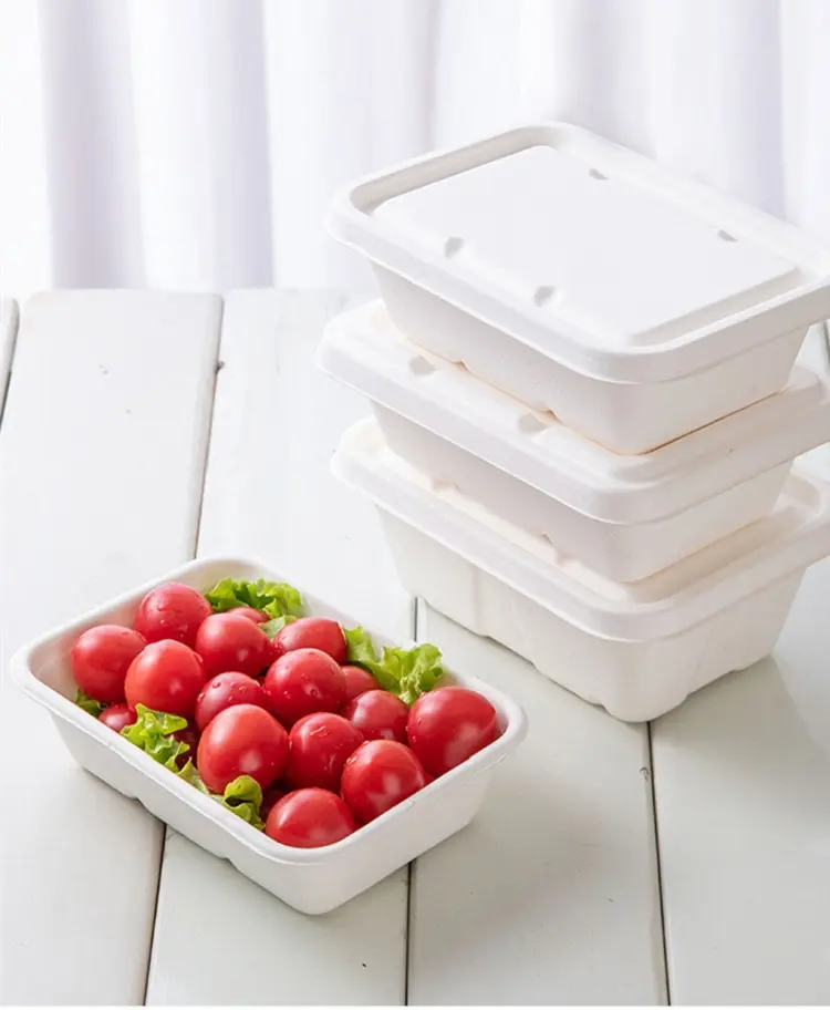 Biodegradable Restaurant Compostable Meat Bagasse Frozen Food 8" x 6" x 0.6" Tray