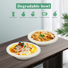 Eco-friendly biodegradable pfas 16 oz (460ml) Bowl pulp bagasse salad bowl Sugarcane Tableware Containers Pulp Bagasse Bowl With Lid