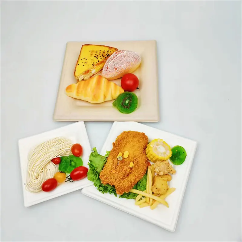 Party Eco-friendly Disposable Biodegradable Bagasse 6" Square Plate