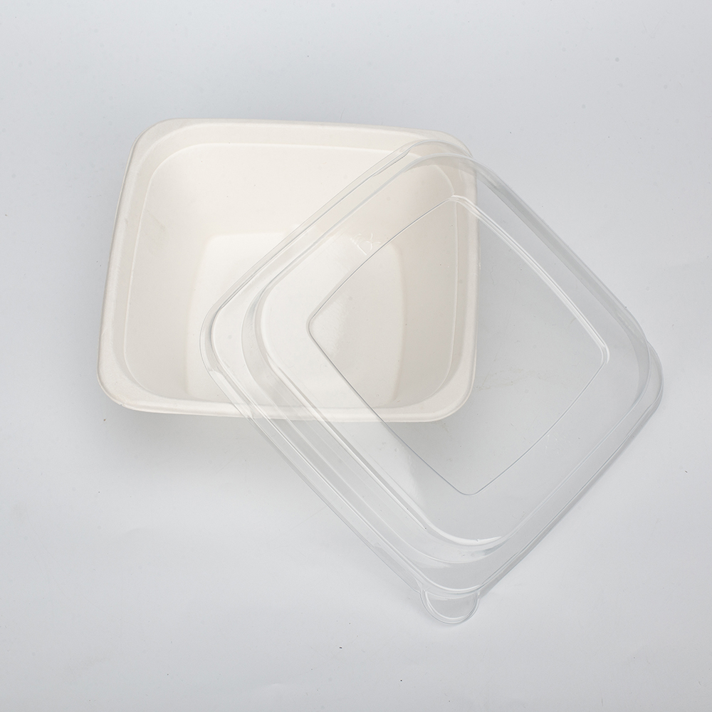 Compostable SugarCane Bagasse Biodegradable Eco-Friendly Food Container 24 Oz (680ml) Square Bowl