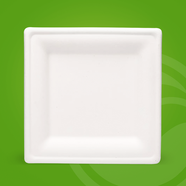 White Environmentally Friendly 8 Inch Disposable Bagasse Paper Plate Square Bagasse Plate for Party