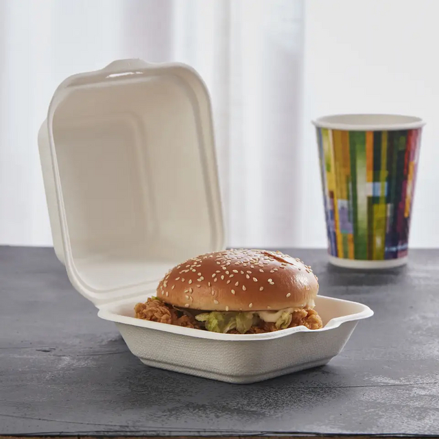 Bagasse Box: A Revolutionary Approach to Biodegradable Food Packaging