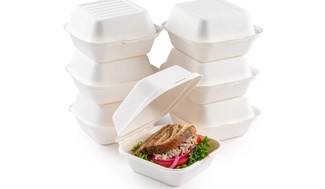 Zero-Waste Success: Case Studies in Compostable Takeout Packaging