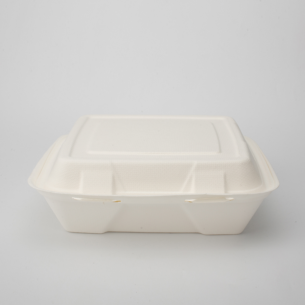 Disposable Biodegradable Bagasse Clamshell Lunch 9