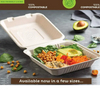 Biodegradable Take Out Disposable Clamshell Bagasse Food 8