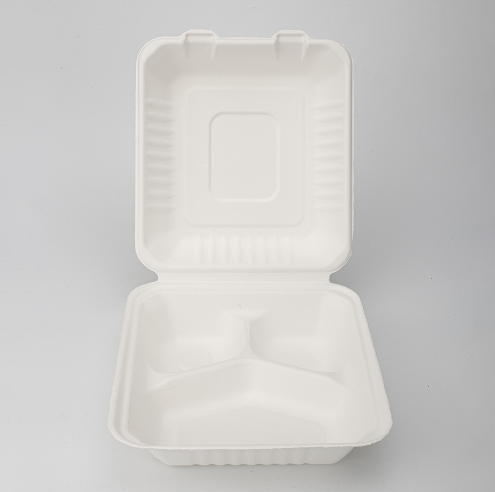 Disposable Clamshell Biodegradable Bagasse Food 8