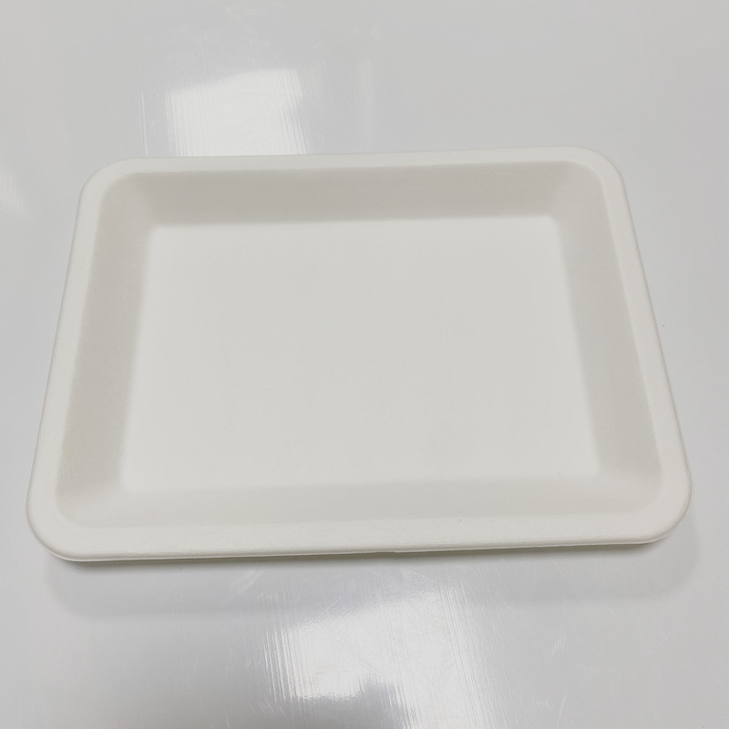 Biodegradable Restaurant Compostable Meat Bagasse Frozen Food 8" x 6" x 0.6" Tray