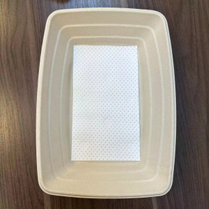 Disposable Takeaway Food Packaging Bagasse Tray