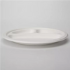 Biodegradable Disposable Eco Friendly Sugarcane Bagasse Plate