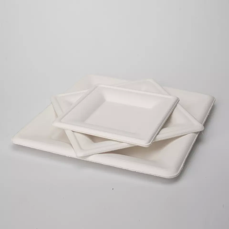 White Environmentally Friendly 8 Inch Disposable Bagasse Paper Plate Square Bagasse Plate for Party