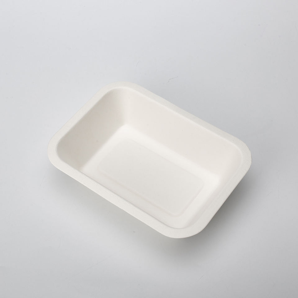 PFAS Free Eco-friendly Biodegradable Sugarcane Bagasse Pulp Mould Food Disposable Tray With Lids